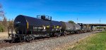 CAOX 120843 